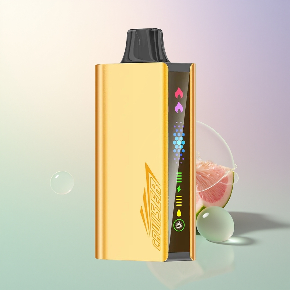 JNR Cruiser 12000 Puffs Cool Mint No-Charge Disposable Vape with 3500mAh Battery  Animation Screen