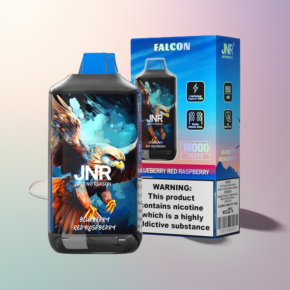 JNR Falcon 16000 Puffs Blueberry Red Raspberry 850mAh 22ml Dual Mesh Coil Type C Lightning Smart LED Display 02