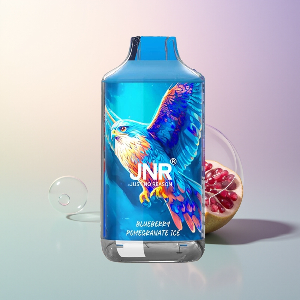 JNR Falcon 16000 Puffs Dual Mesh 22ml 850mAh Type C Blueberry Pomegranate Ice 02