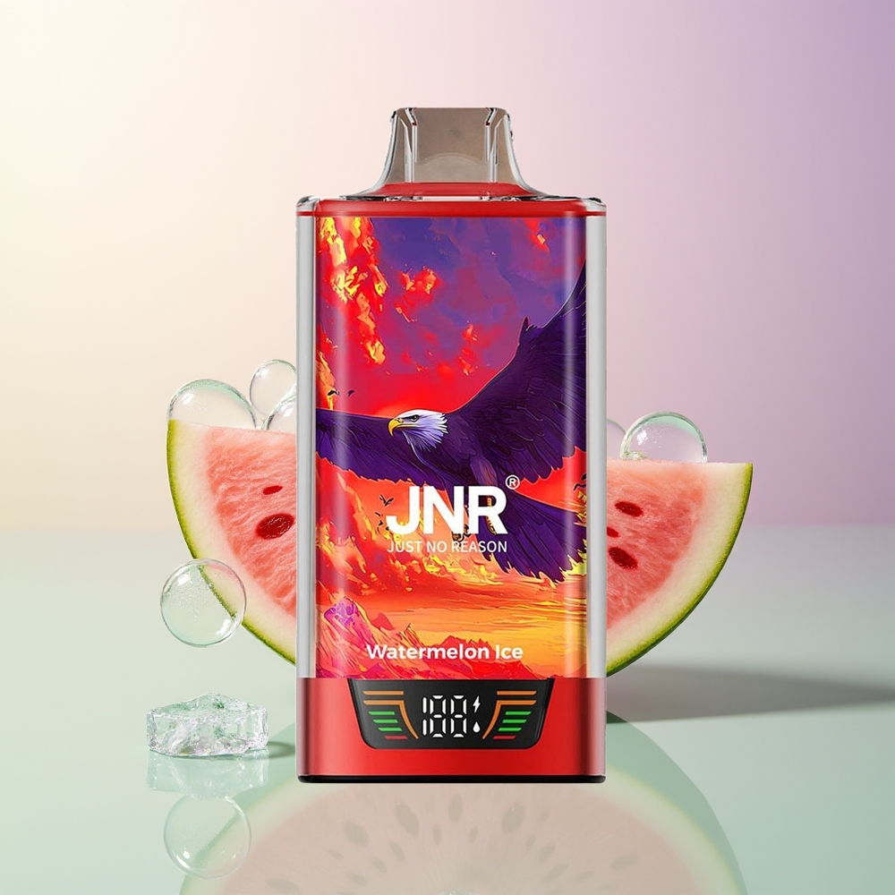 JNR Falcon Pro 28000 30ml Dual Mesh Watermelon Ice