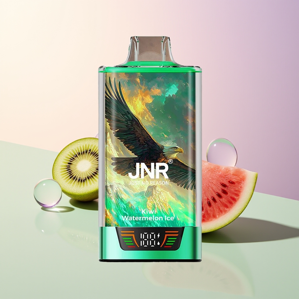 JNR Falcon Pro 28000 Kiwi Watermelon Ice Dual Mesh Smart Display
