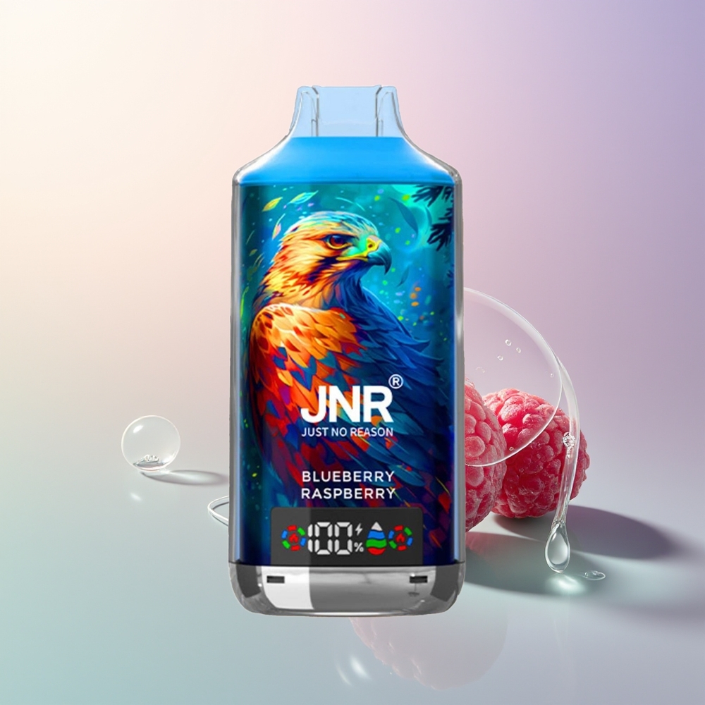 JNR Falcon X 18000 Puffs Blueberry Raspberry Dual Mesh Dual Core Digital Display Type-C Quick Charge 750mAh 24ml 025