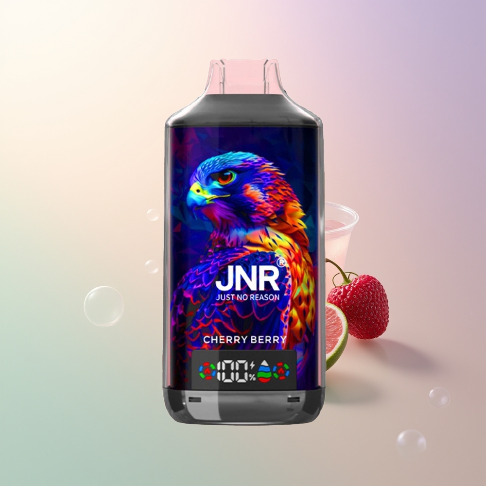 JNR Falcon X 18000 Puffs Cherry Berry Dual Mesh Digital Type-C
