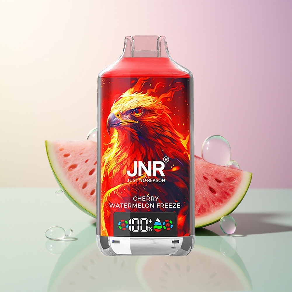 JNR Falcon X 18000 Puffs Cherry Watermelon Freeze 750mAh 24ml Dual Mesh Coil Type-C Quick Charge