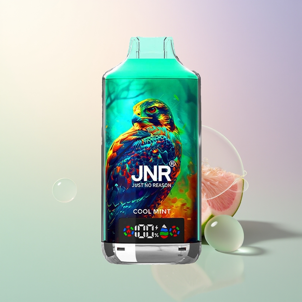 JNR Falcon X 18000 Puffs Cool Mint Dual Mesh Digital Type-C