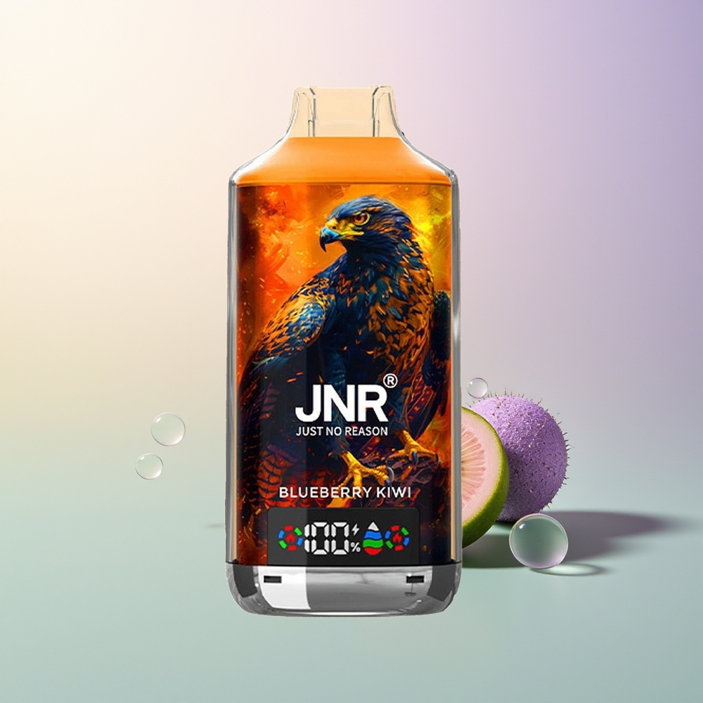 JNR Falcon X 18000 Puffs Dual Mesh 24ml Blueberry Kiwi Disposable Vape