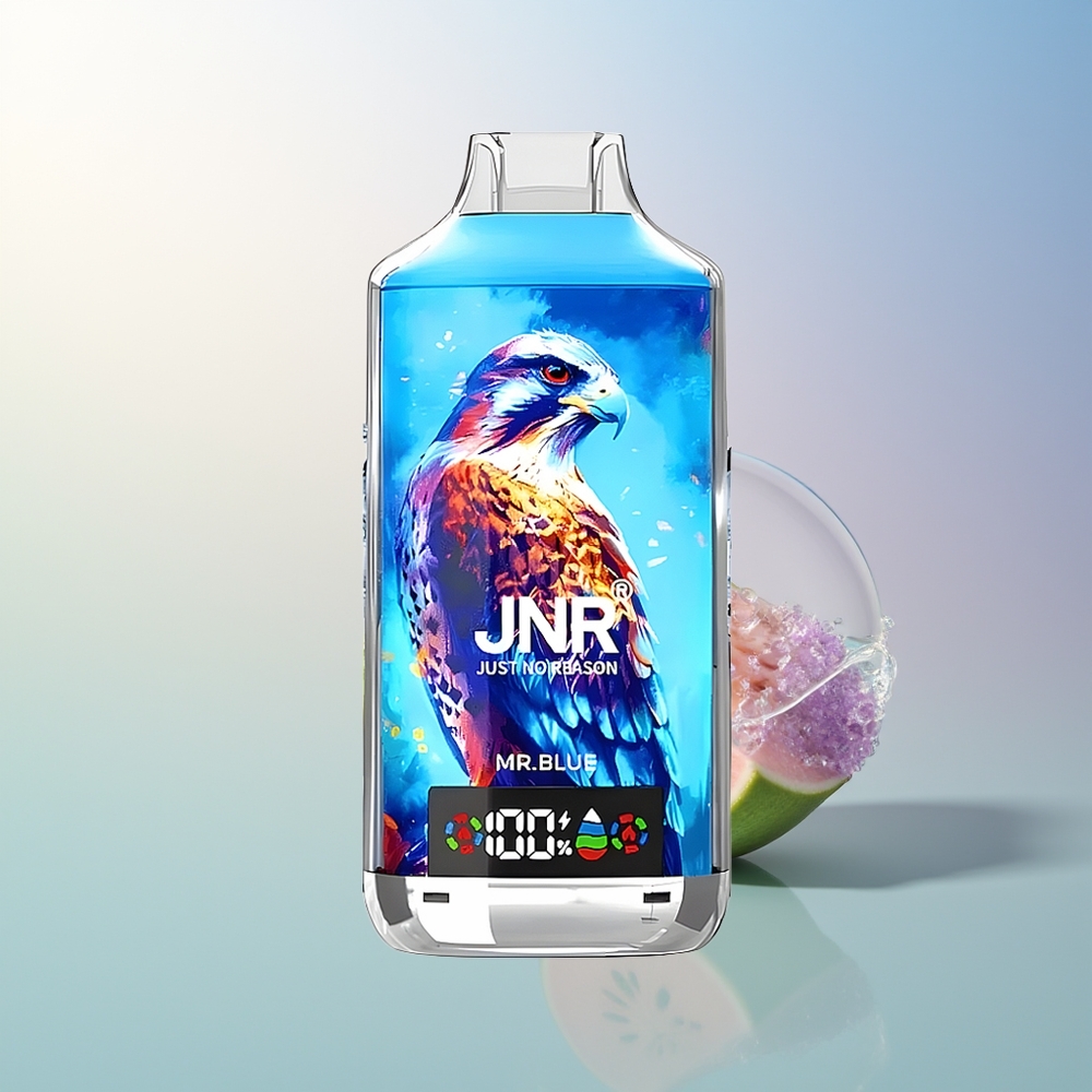 JNR Falcon X 18000 Puffs Dual Mesh Blue Mr Blue Type-C 24ml