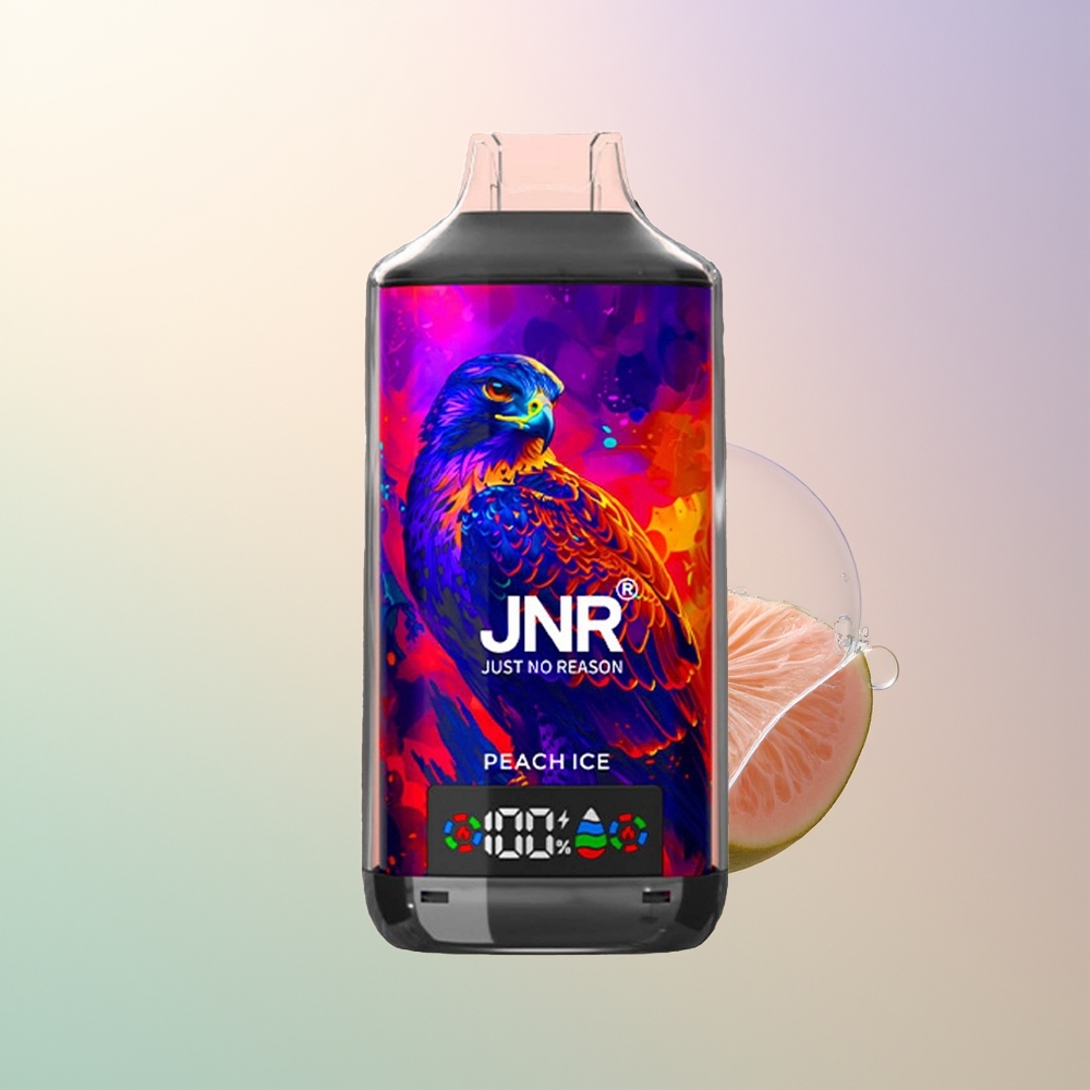 JNR Falcon X 18000 Puffs Peach Ice Dual Mesh Coil 24ml 750mAh Type-C Digital Display 0/2/5
