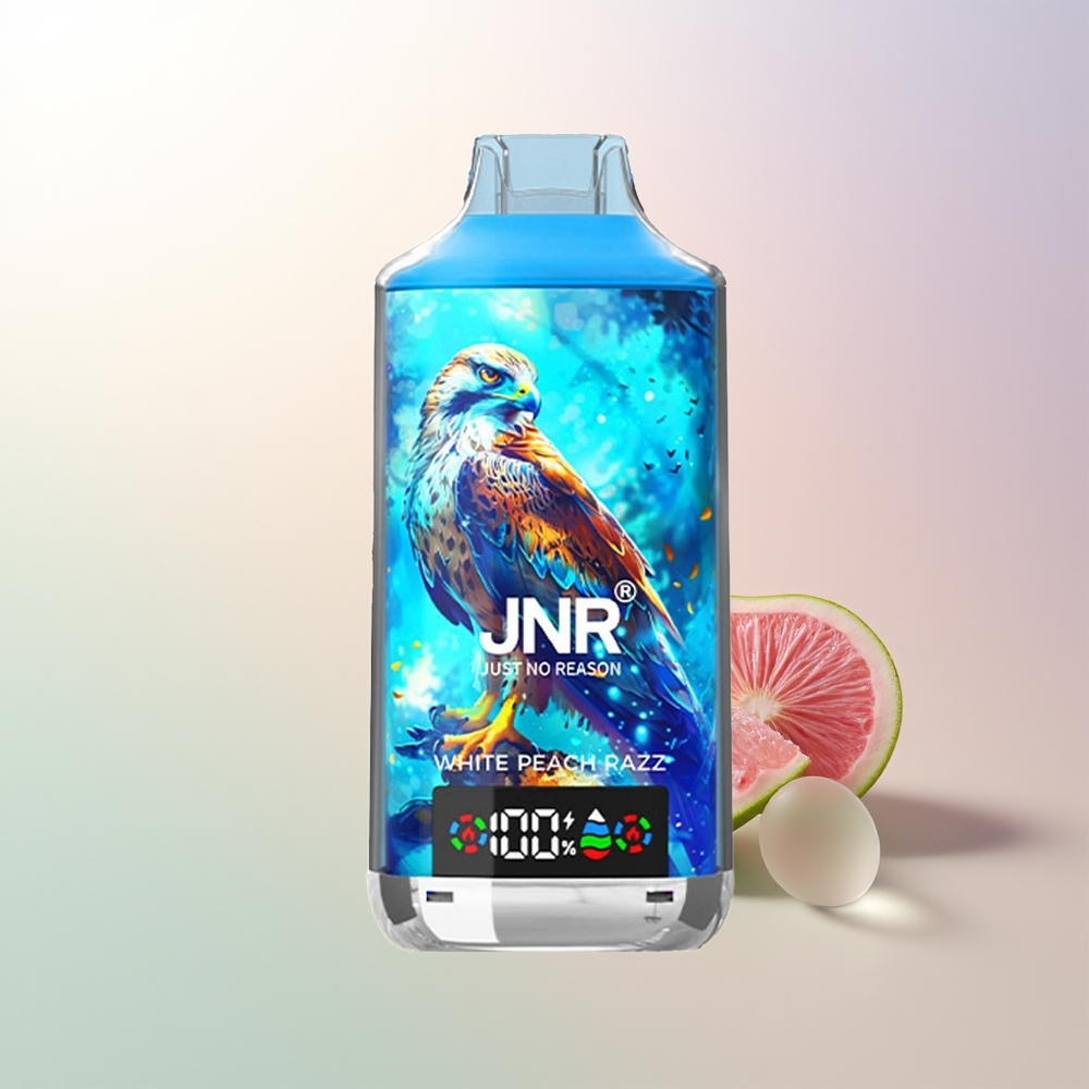 JNR Falcon X 18000 Puffs White Peach Razz 750mAh 24ml Dual Mesh Coil Digital Display Type-C Quick Charge 025