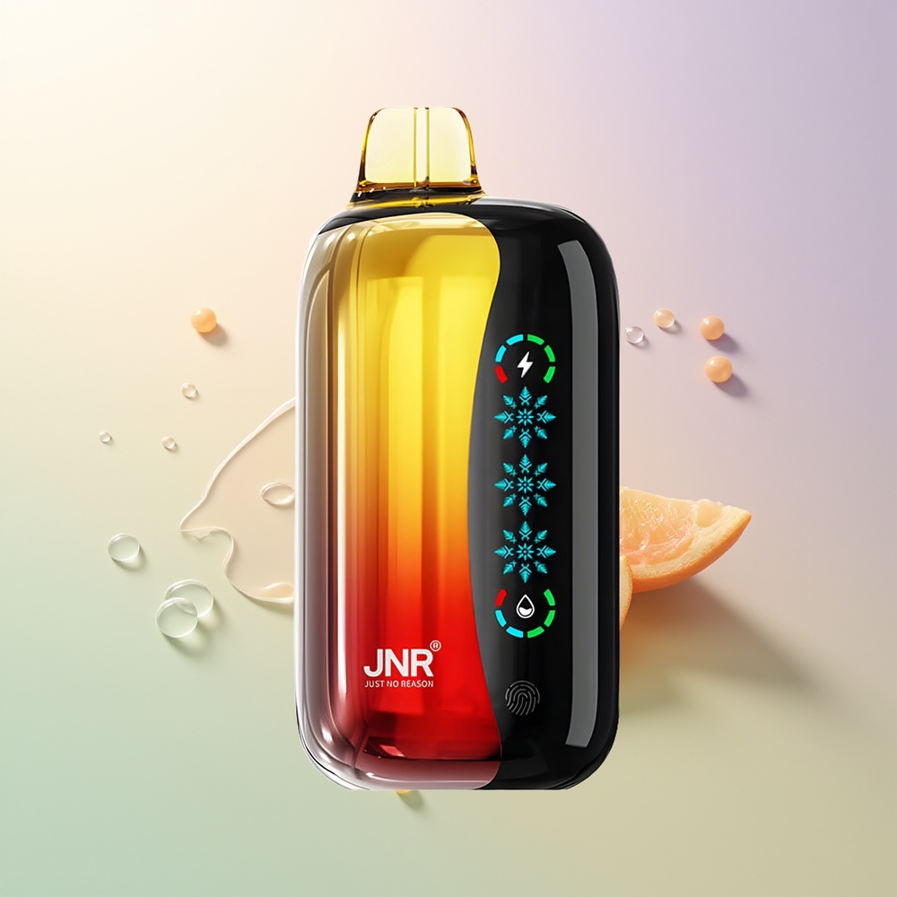 JNR Flex Ice 21000 Puffs Peach Mango Pineapple Ice Adjustable 26ml Touch Screen Dual Mesh Type-C
