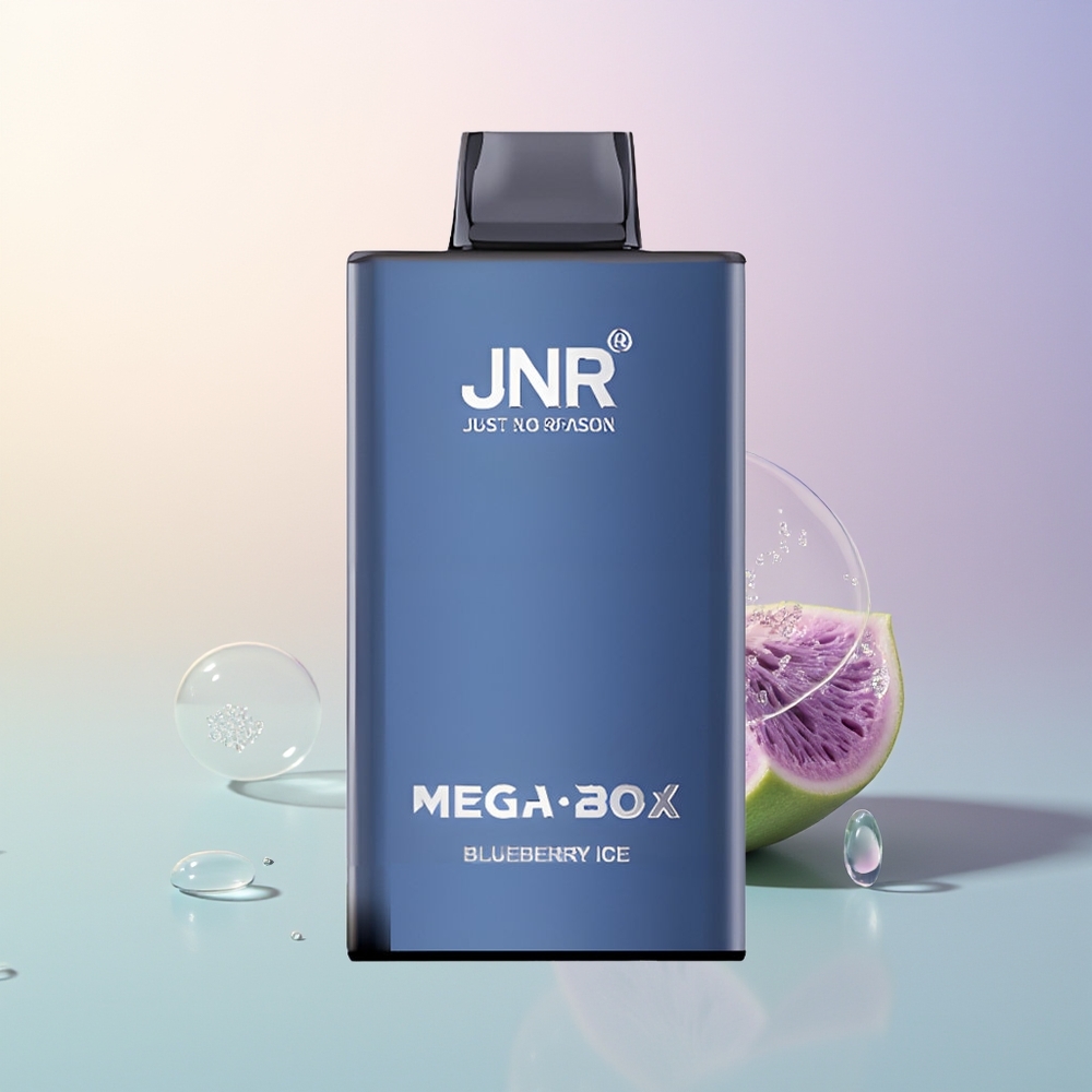 JNR Mega Box 25000 Puffs Blueberry Ice Dual Mesh Type-C 30ml