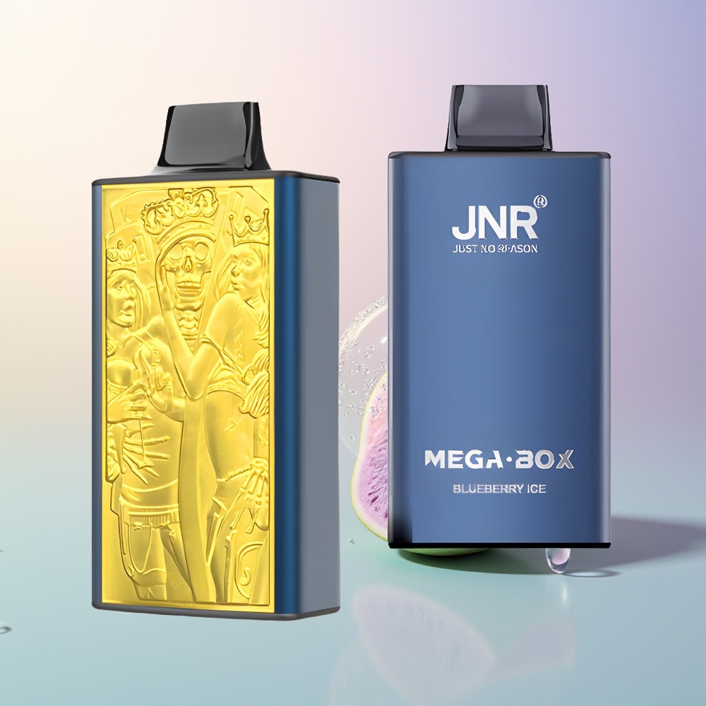 JNR Mega Box 25000 Puffs Blueberry Ice Dual Mesh Type-C 30ml