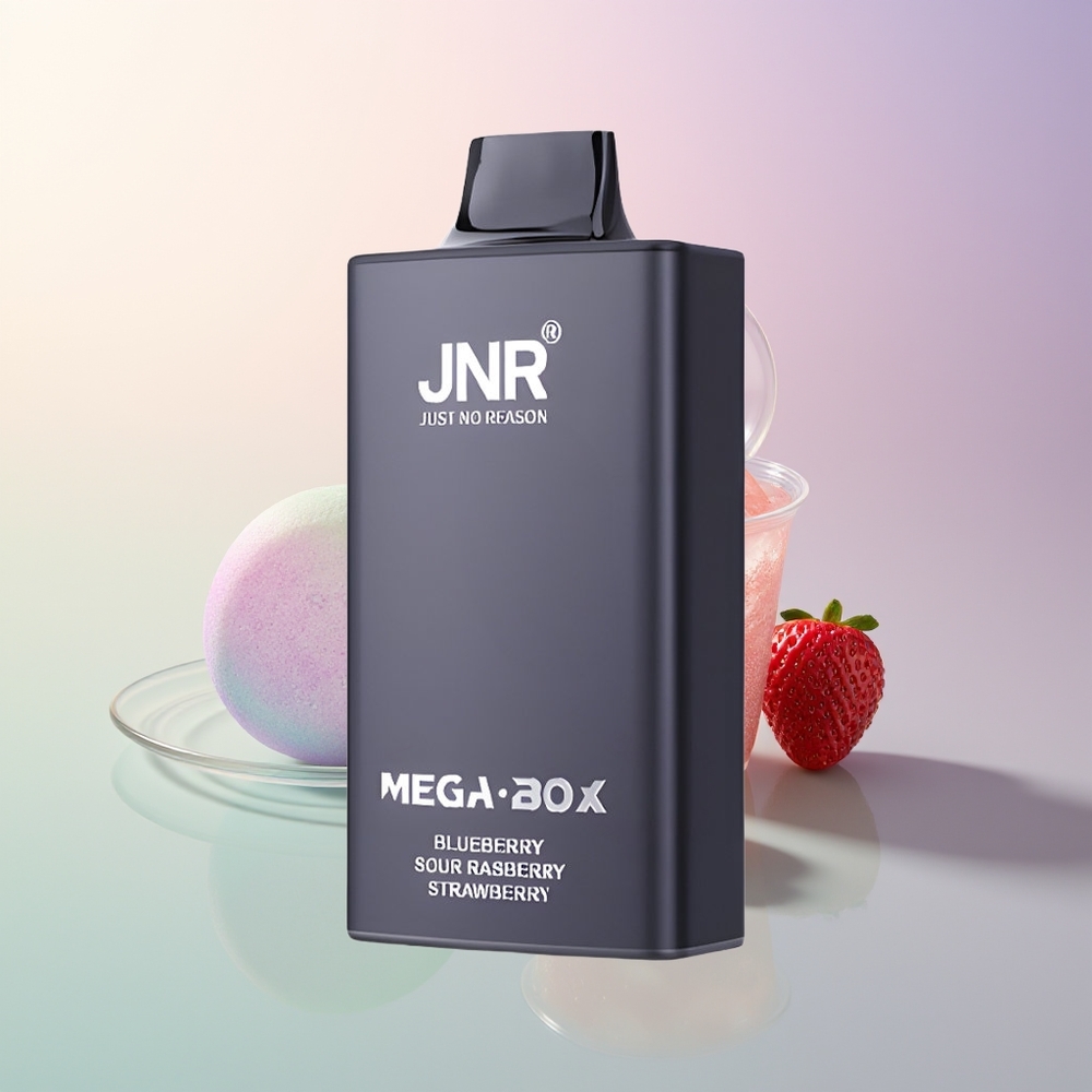 JNR Mega Box 25000 Puffs Blueberry Sour Raspberry Strawberry Disposable Vape with 30ml E-liquid 850mAh Dual Mesh Coil Type-C Quick Charge