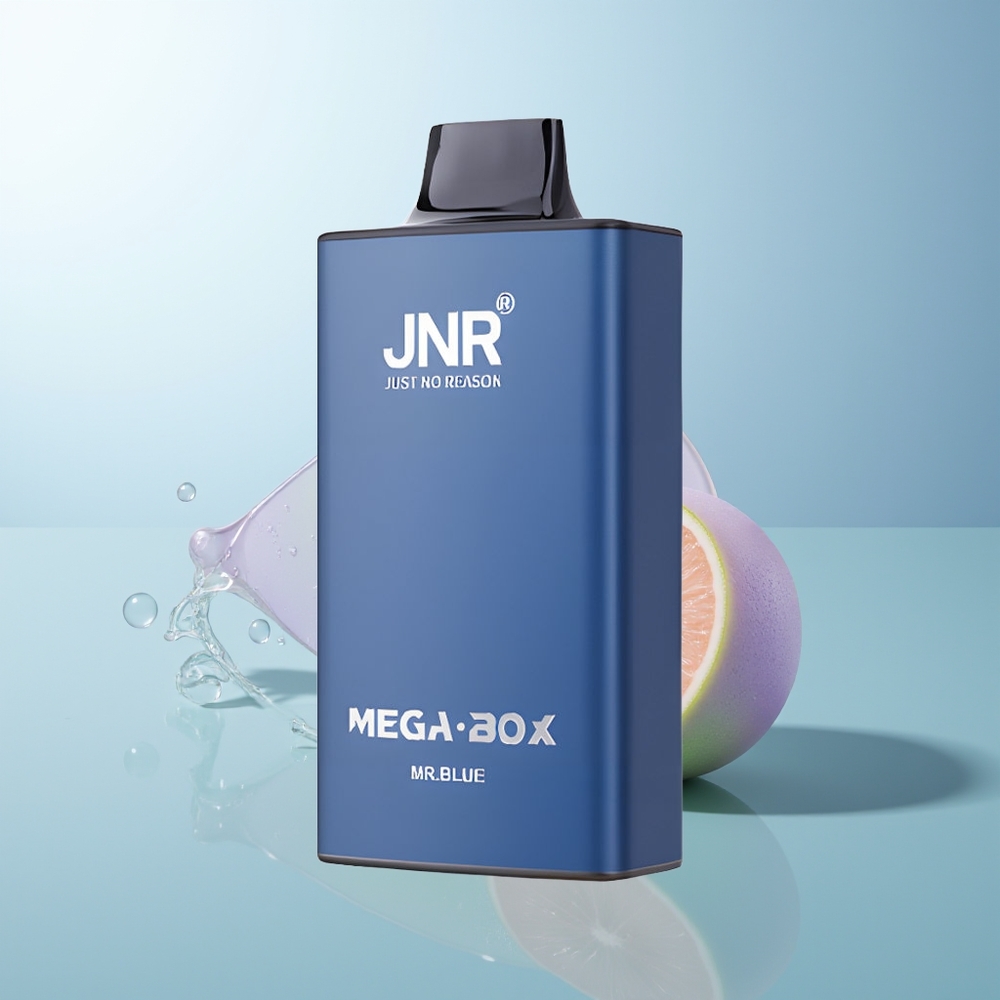 JNR Mega Box 25000 Puffs Mr Blue Dual Mesh Type-C Quick Charge