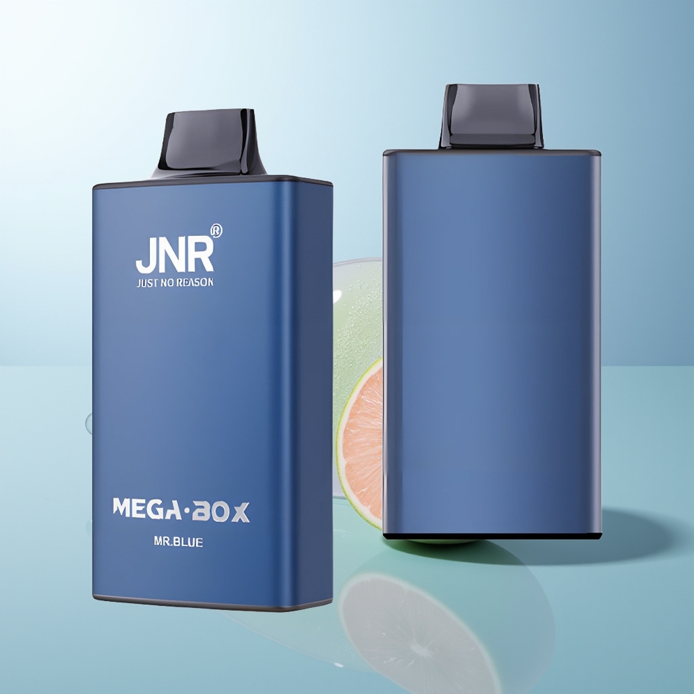 JNR Mega Box 25000 Puffs Mr Blue Dual Mesh Type-C Quick Charge
