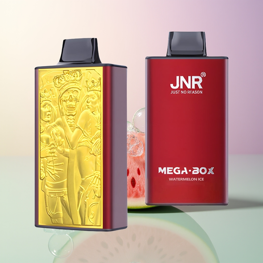 JNR Mega Box 25000 Puffs Watermelon Ice Disposable Vape Dual Mesh Coil Type-C Quick Charge 30ml 850mAh