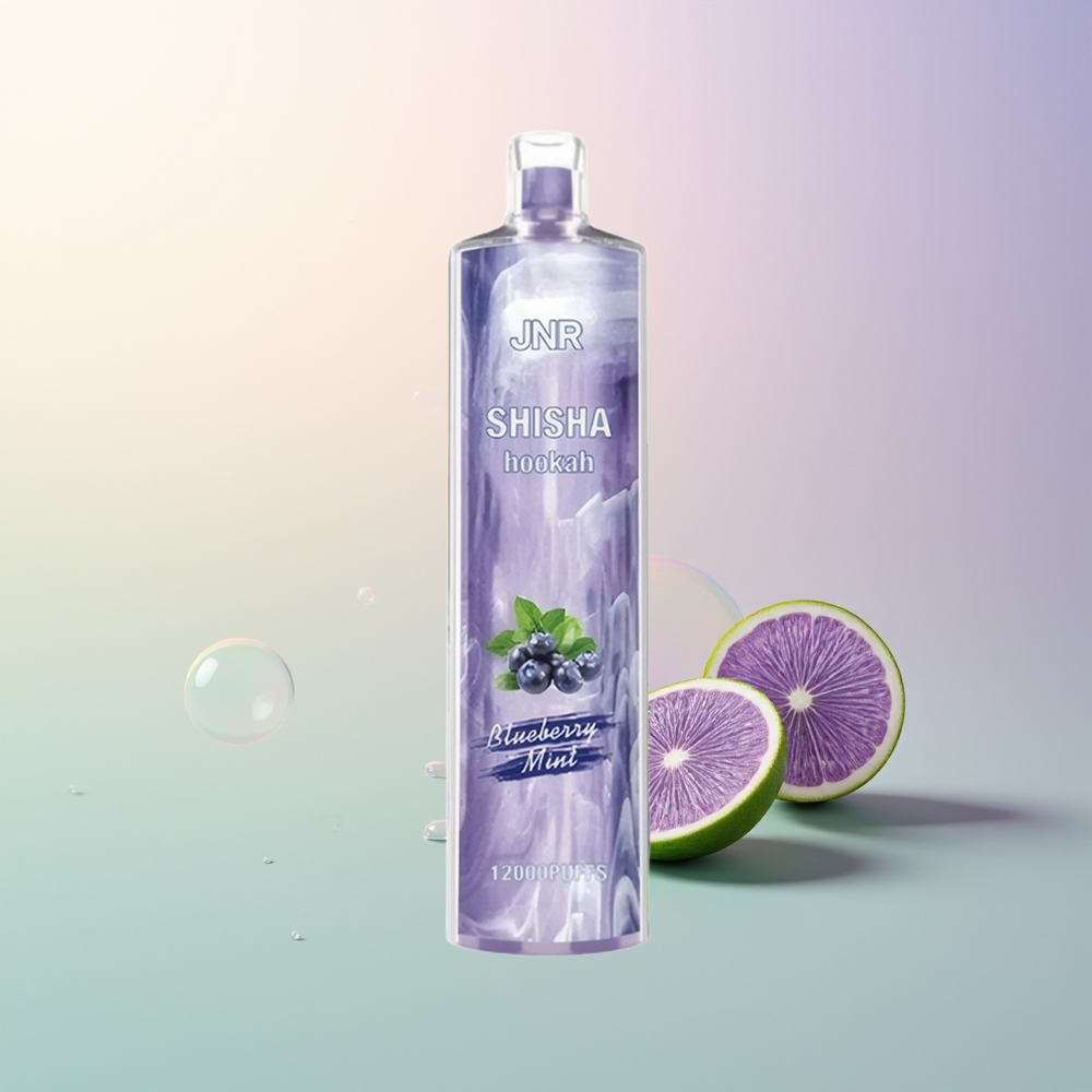 JNR Shisha Hookah 12000 Puffs Blueberry Mint Disposable Vape 24ml 750mAh Type-C