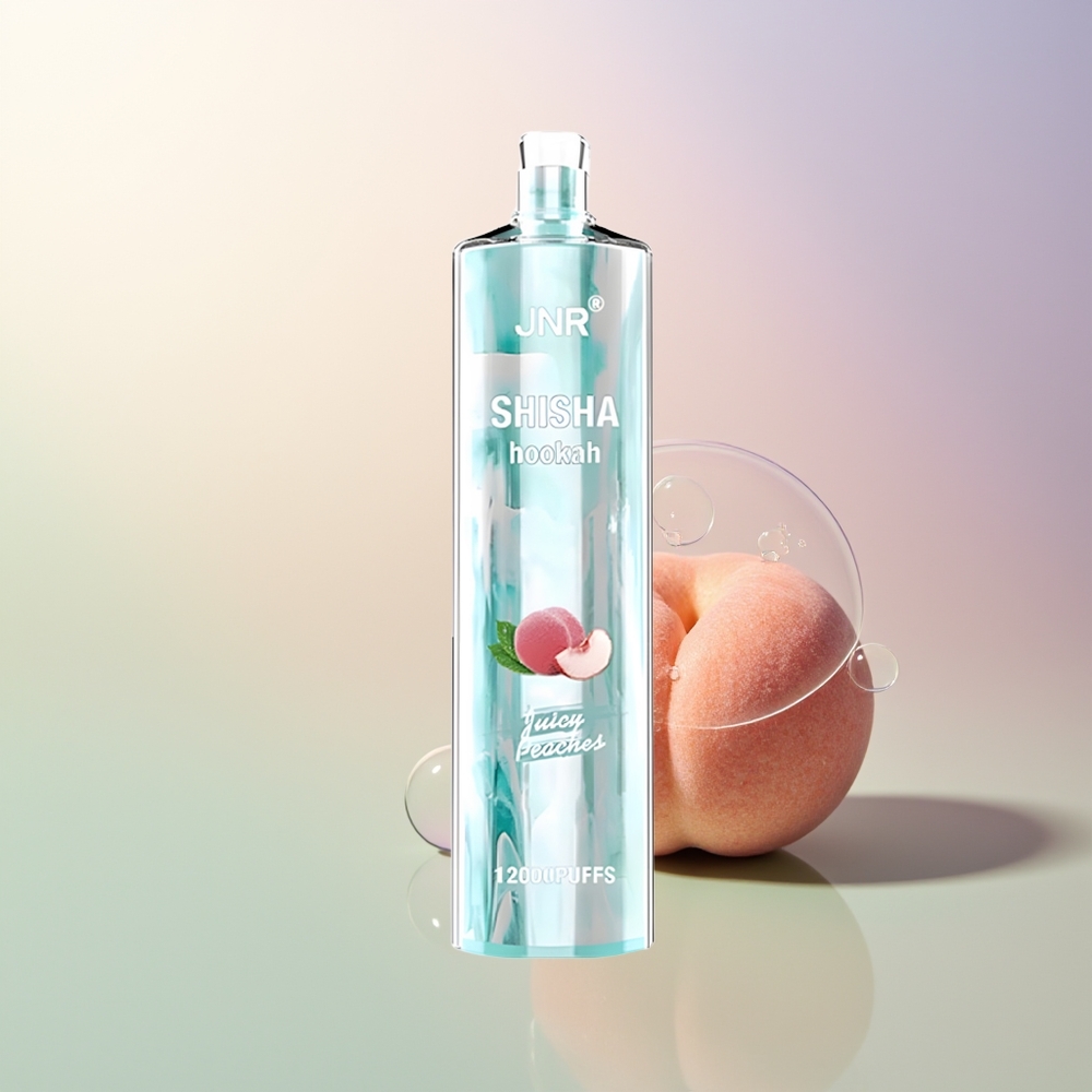 JNR Shisha Hookah 12000 Puffs Juicy Peaches 750mAh 24ml Type-C Mesh Coil Disposable Vape