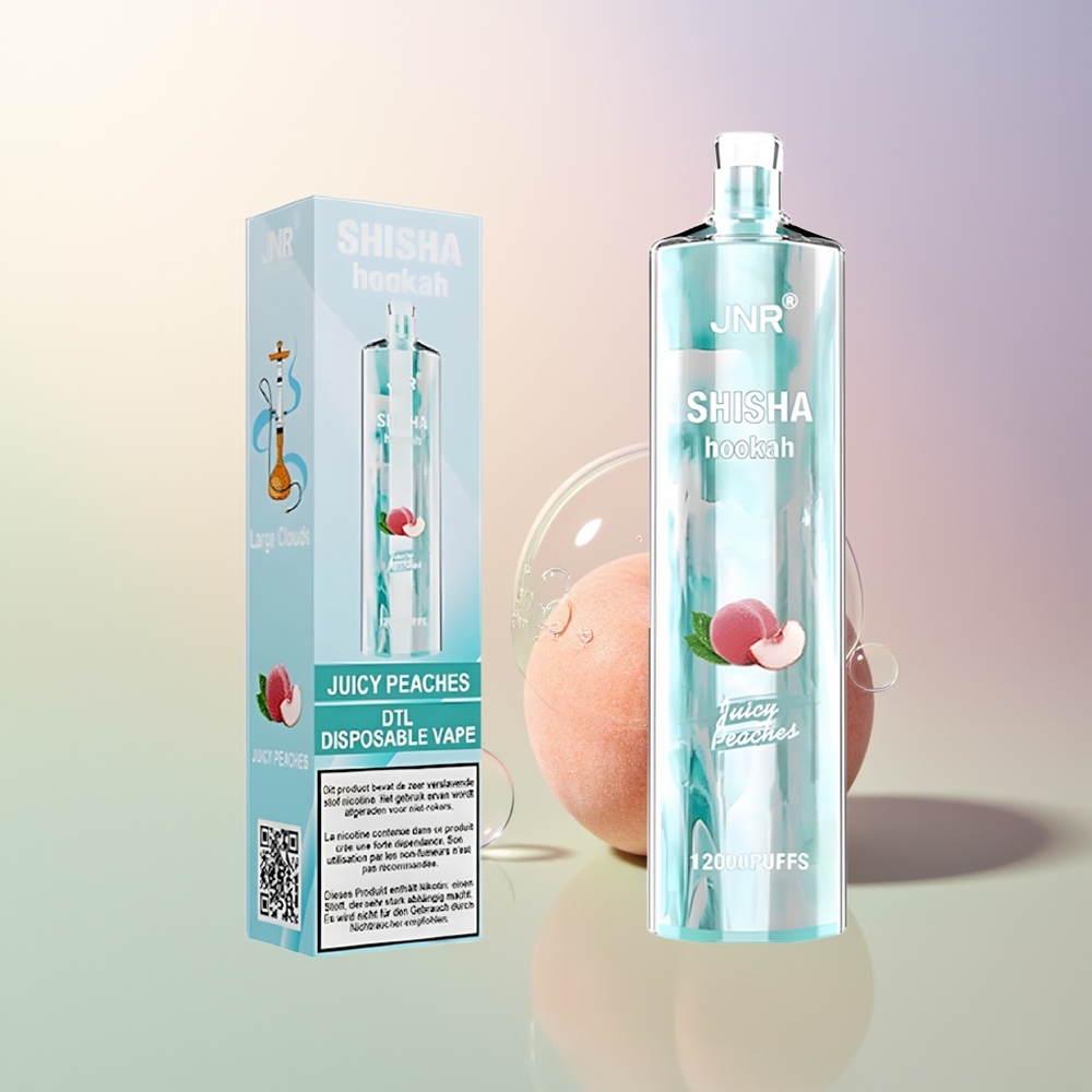 JNR Shisha Hookah 12000 Puffs Juicy Peaches 750mAh 24ml Type-C Mesh Coil Disposable Vape