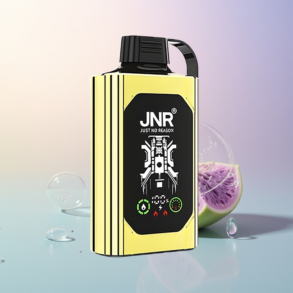 JNR Shisha Hookah Box 20500 Puffs Blueberry Ice HD Display 1000mAh 25ml Dual Mesh Coil Type-C Quick Charge 025