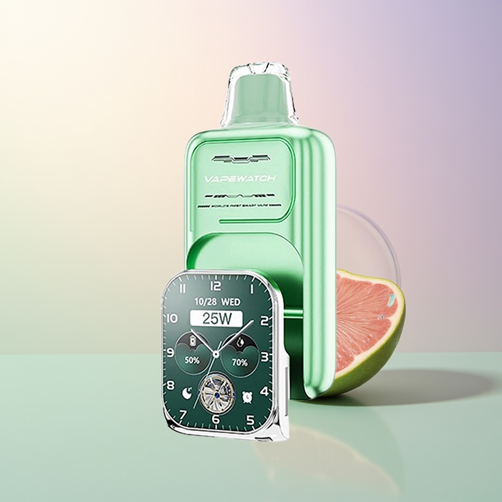 JNR VapeWatch 30000 Puffs Miami Mint Dual Mesh 19mL 5 Type-C 1000mAh