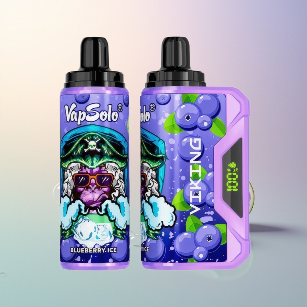 VapSolo VIKING 12000 Puffs Blueberry 22ml Type-C LED Display Disposable Vape