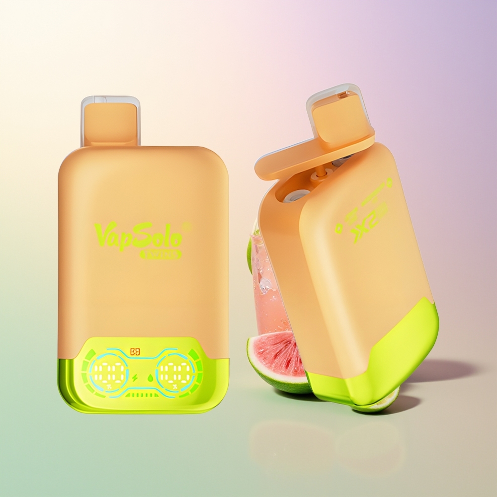 Vapsolo Twins 20000 Puffs Dual Tank Lemon Lime  Watermelon Ice Type-C