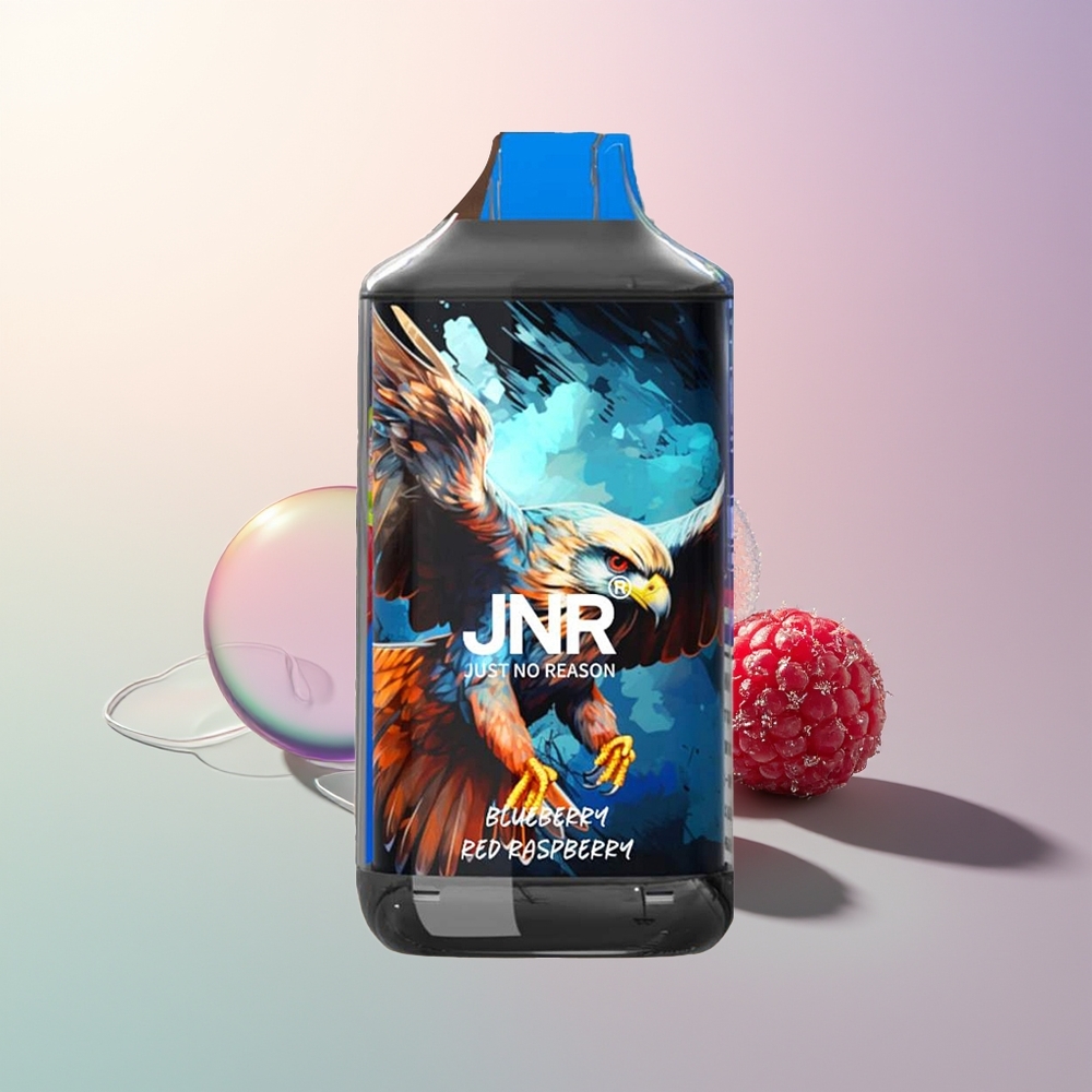 JNR Falcon 16000 Puffs Blueberry Red Raspberry 850mAh 22ml Dual Mesh Coil Type C Lightning Smart LED Display 0%2%