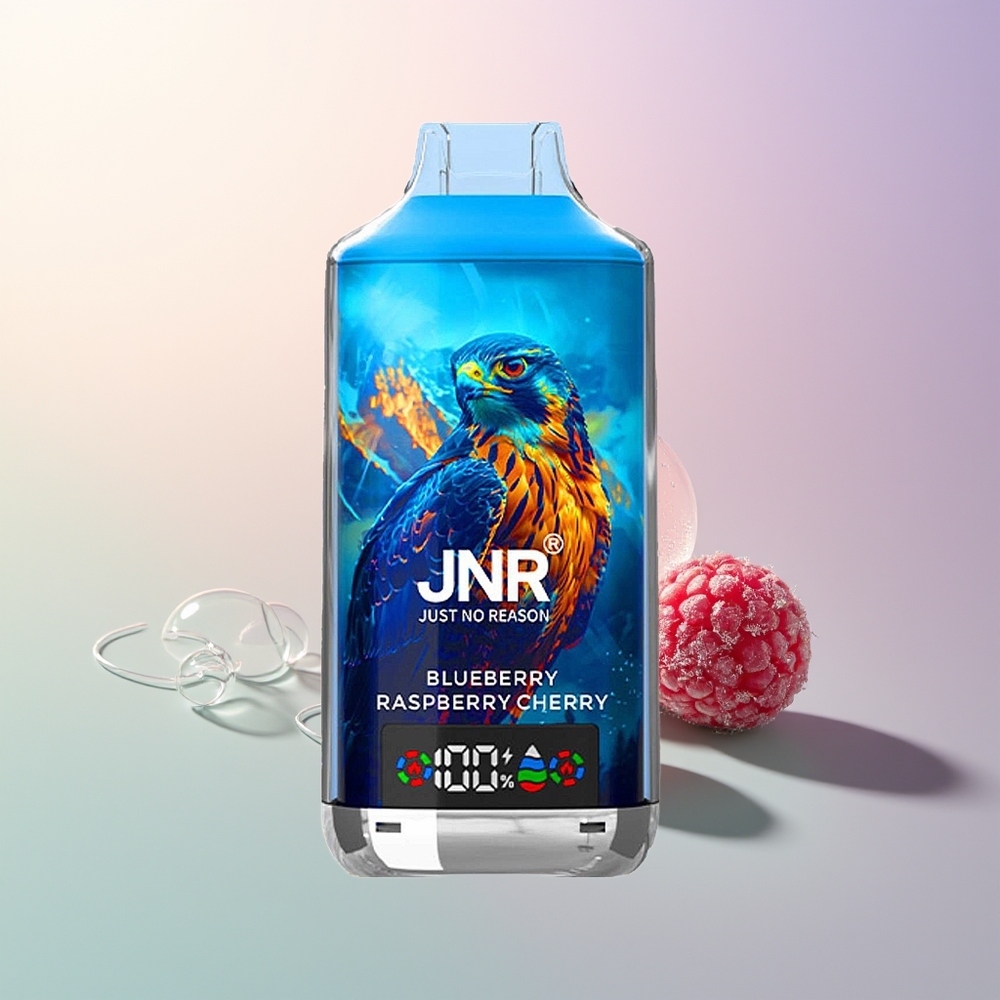 JNR Falcon X 18000 Puffs Blueberry Raspberry Cherry Dual Mesh Dual Core Digital Type-C
