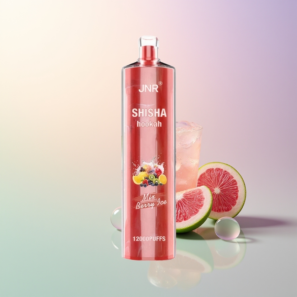 JNR Shisha Hookah 12000 Puffs Berry Ice 750mAh 24ml 0.6 Ohm Mesh Coil Type-C Fast Charging
