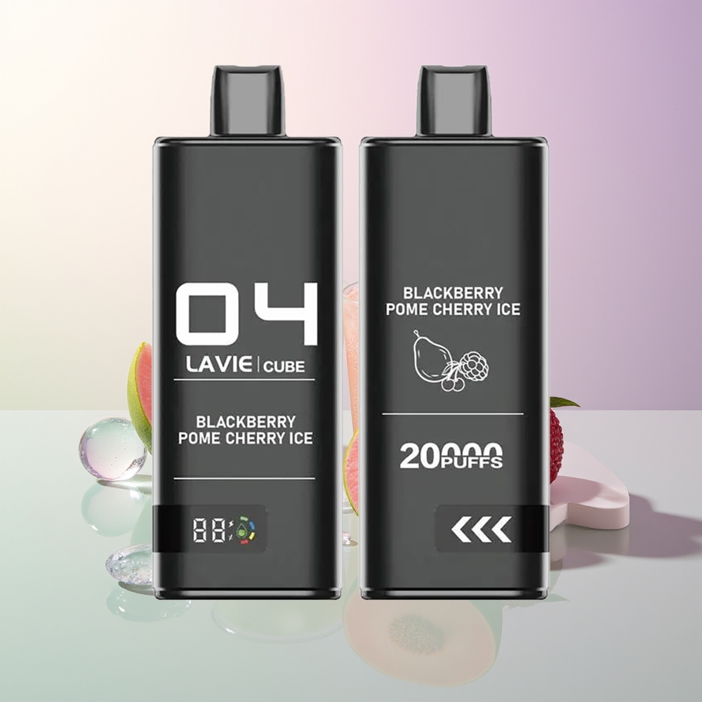 LAVIE Cube 20000 Puffs Blackberry Pomegranate Cherry Ice Disposable Vape 5% 28mL Type C
